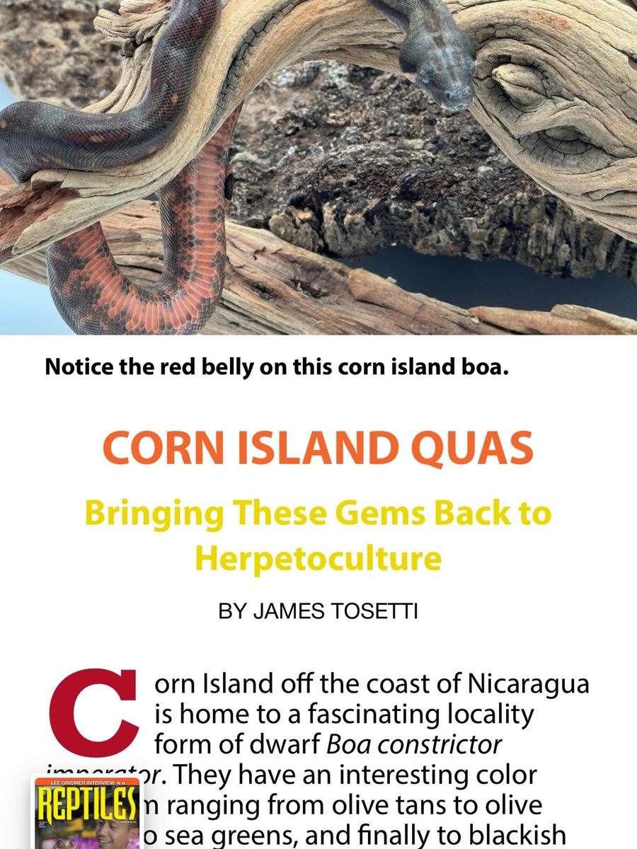 Reptiles Magazine, March 2026 issue featuring an article by James Tosetti
